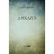 A Pegazus
