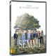 Semmi - DVD