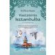 Visszatérés Isztambulba