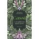 Cassi - A majdnem igazi guru