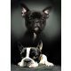 Kutyás Bulldog polár takaró 100x140cm