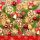 Karácsony Wooden Decorations szalvéta 20 db-os 33x33 cm
