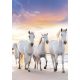 Lovas Gallop A/4 gumis mappa
